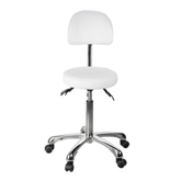 Silverfox Rolling Stool with Backrest 1025B