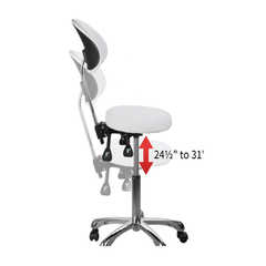 Silverfox Rolling Stool with Back Support 1025E