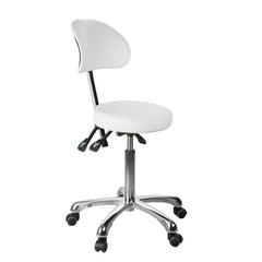 Silverfox Rolling Stool with Backrest 1025B